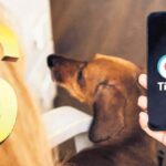 TikTok davasında 400 milyon uzlaşma